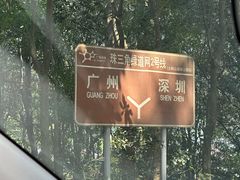 -东莞市大岭山森林公园