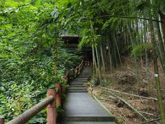 -藏龙百瀑风景区