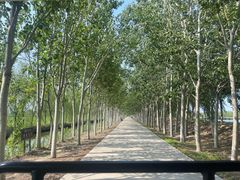 -西青郊野公园