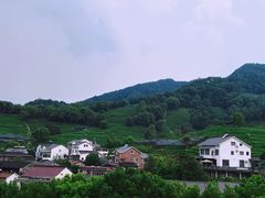 -龙井村