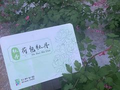 -仁和公园(顺义区)