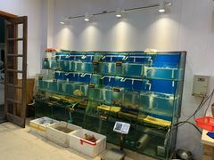 水产区-胖大嫂渔家排档·全海景餐厅(渔村店)