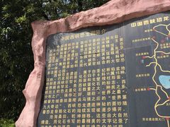 -中国西峡恐龙遗迹园