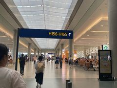 -上海浦东国际机场-T2航站楼
