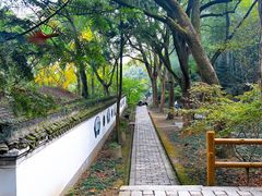 -上海佘山国家森林公园天马山园