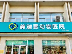 -美迦爱-牙专科·兔科·骨科诊疗中心(北苑店)