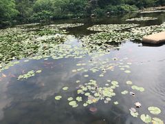 -白马涧龙池景区