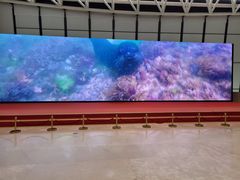 -贝林大翅鲸简餐厅(国家海洋博物馆店)