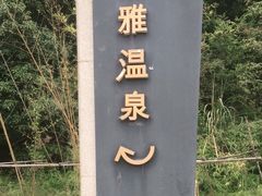 -汇雅温泉