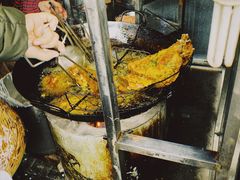 -半月镰胡姐脆皮萝卜饺子