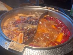 -牛New寿喜烧(金鹰世界店)