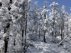 -瓦屋山景区