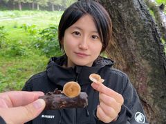 -新疆那拉提国家旅游度假区