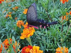 -沕沕水生态风景区