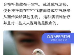 -青石桥花鸟鱼虫市场(叠翠城店)