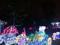 -飞凤山奥体公园