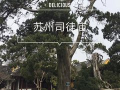 -司徒庙