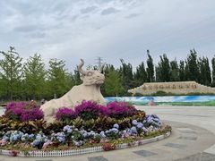 -永定河休闲森林公园