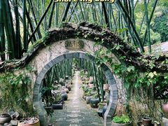 -老木棉·匠园