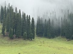 -新疆那拉提国家旅游度假区