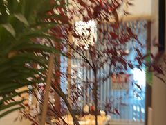 -沼津港精致料理·寿喜烧·烧鸟(漕河泾印象城店)