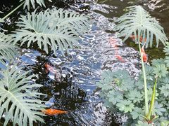 -广州白天鹅宾馆