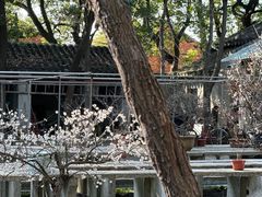 -西园戒幢律寺