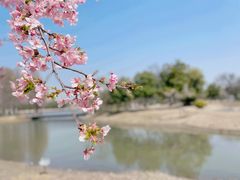 -上海辰山植物园