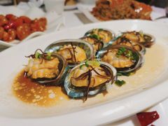 果皮鲍鱼-强记海鲜·大排档(蛇口新街店)