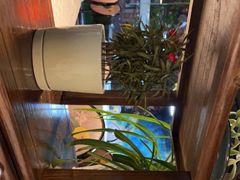 -陈生记黑鱼馆·20年活鱼现杀(宁波鼓楼店)