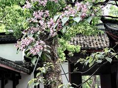 -吴山景区