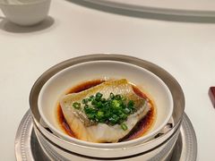 葱油蒸野生黄鱼-福1015(愚园路店)