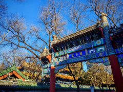-北京国子监胡同