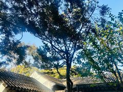 -秋霞圃
