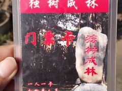 -独树成林