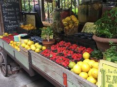 -The Grounds of Alexandria