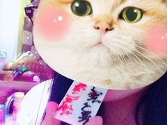 -甜心贝拉(西平路店)