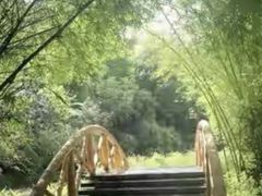 -大屏嶂森林公园