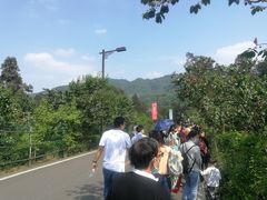 -樱桃山旅游景区