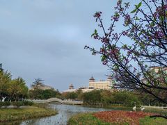-映月湖公园