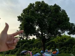 -东南花都花博园