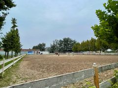 -北京群众马术培训基地