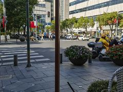 -Peet's Coffee皮爷咖啡(大学路店)