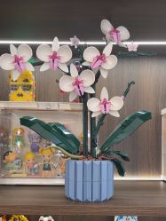 -乐高授权专卖店(华采天地店)