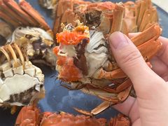 -阳澄湖大闸蟹·琼灵阁牌品牌连锁(吴中总店)