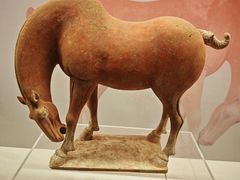 -衢州市博物馆
