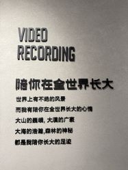 点击看大图 -大树儿童摄影