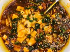 牛肉烩面片-古觉面片(科技路天朗蓝湖树店)