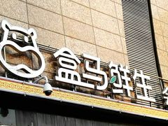 -盒马鲜生(大成店)
