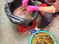 -三百碗宝应长鱼面(板仓街店)